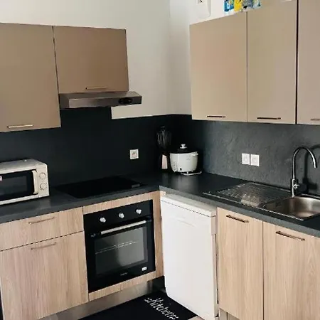 -residence De Standing Avec Terrasse リヨン